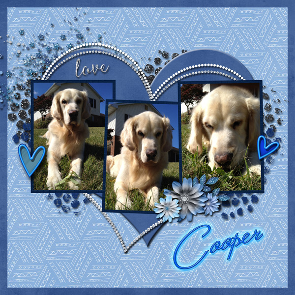 Remembering My Best Friend