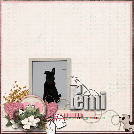Remi 6 Months