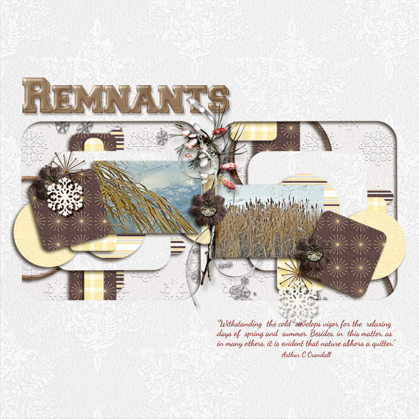 Remnants