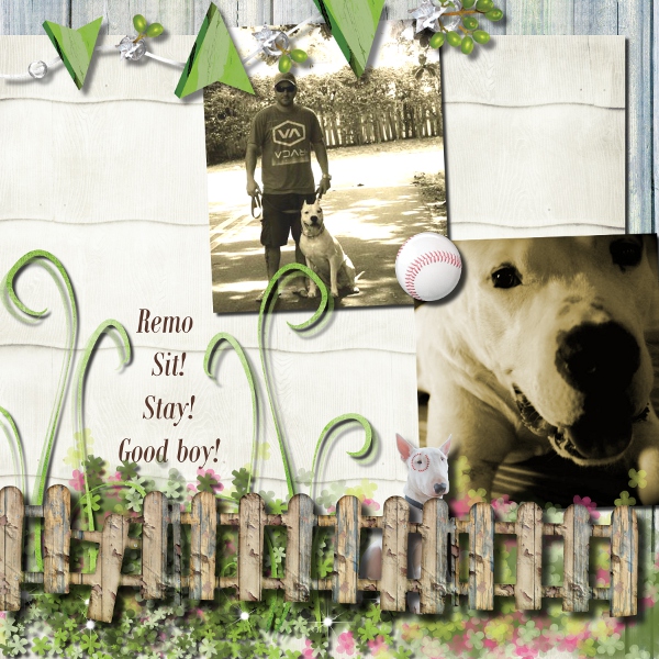 Remo Sit! Stay! Good Boy!