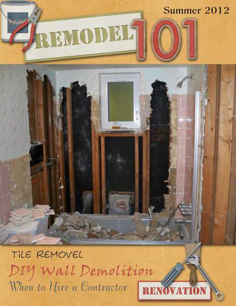 Remodel Magazine Technique Challenge