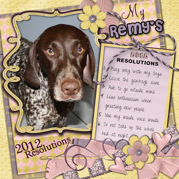 Remy's Resolutions