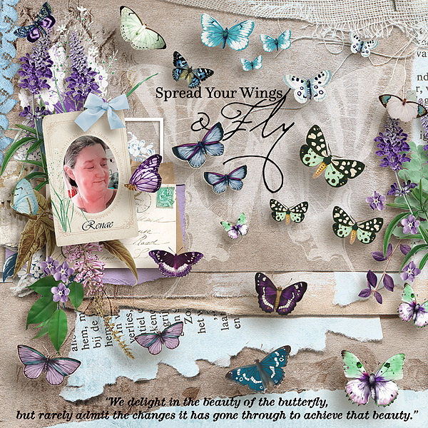 Renae - butterflies