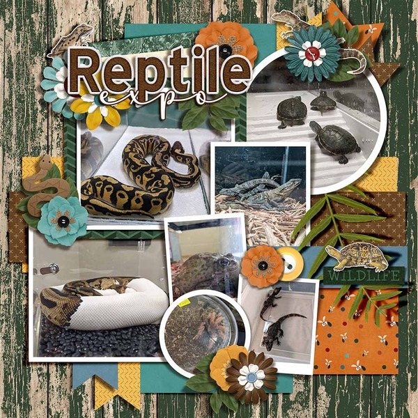 Reptile Expo