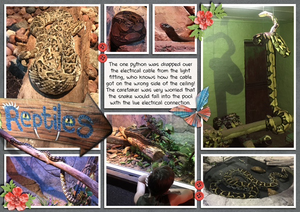 Reptiles