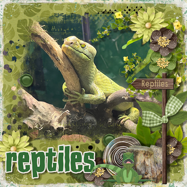 Reptiles