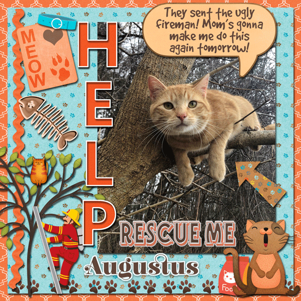 Rescue Me!