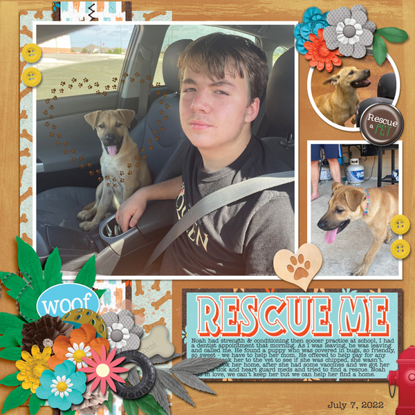 Rescue Me