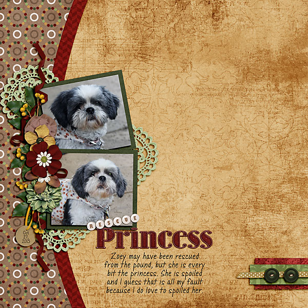 Rescue Princess
