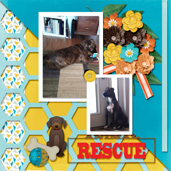 Rescue Puppy