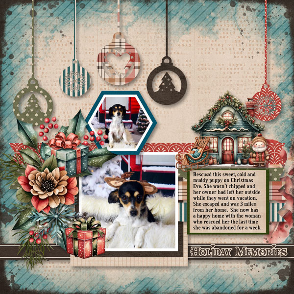 Rescued For Christmas
