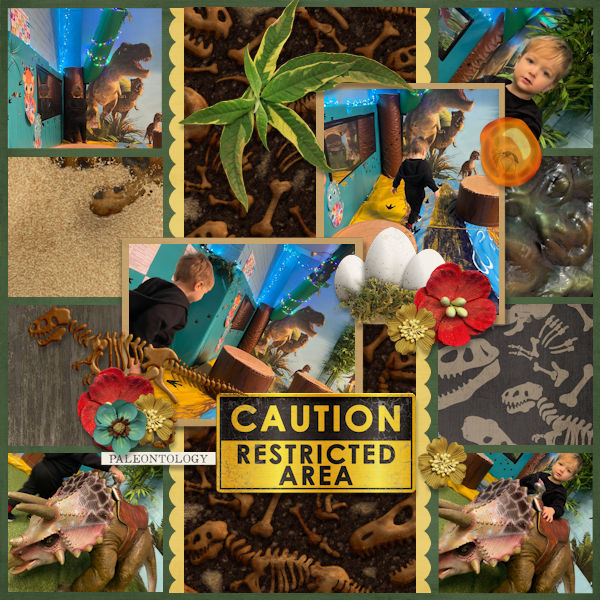 Restricted