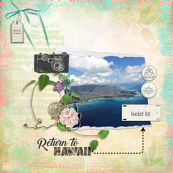 Return to Hawaii