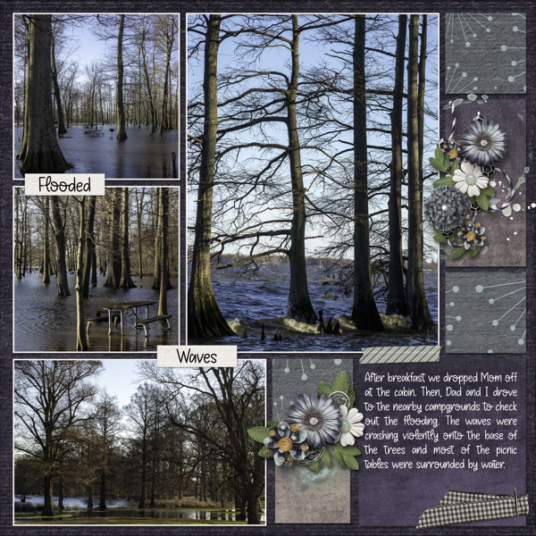 RF Album - Flooding