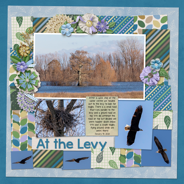 RF Album - Levy