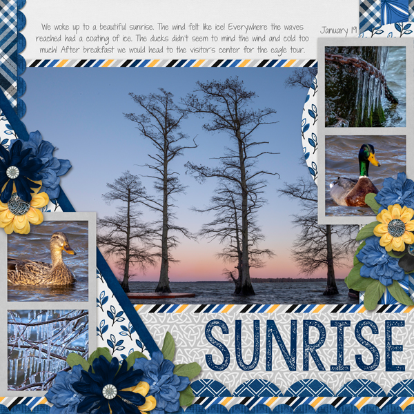 RF Album - Sunrise