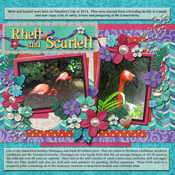 Rhett + Scarlett