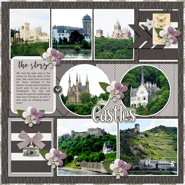 Rhine River Castles