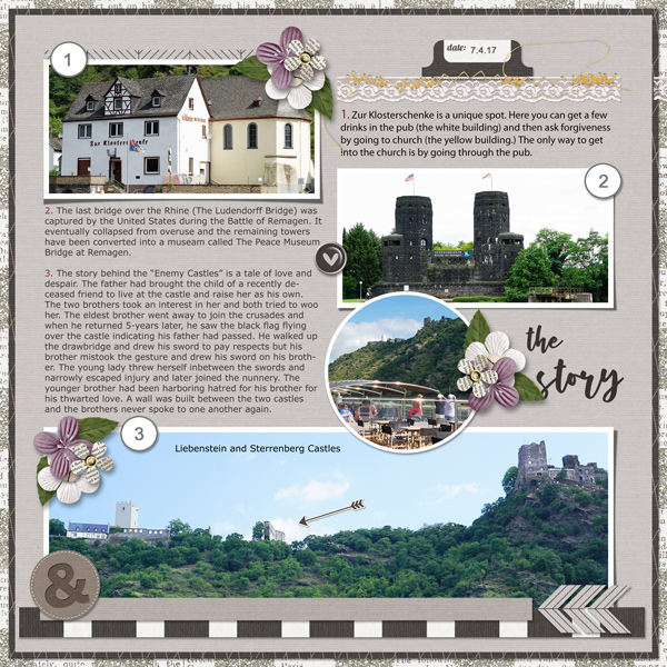 Rhine River Castles