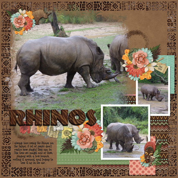 Rhinos