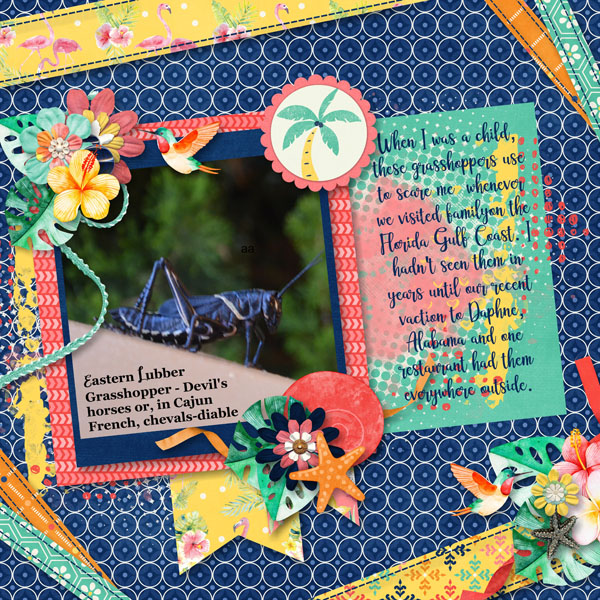 Ribbons_Tropical_Dana