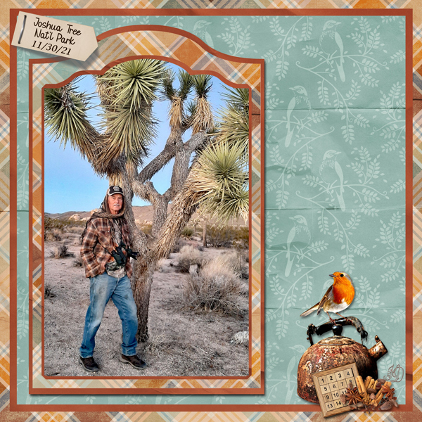 Rich at Joshua Tree