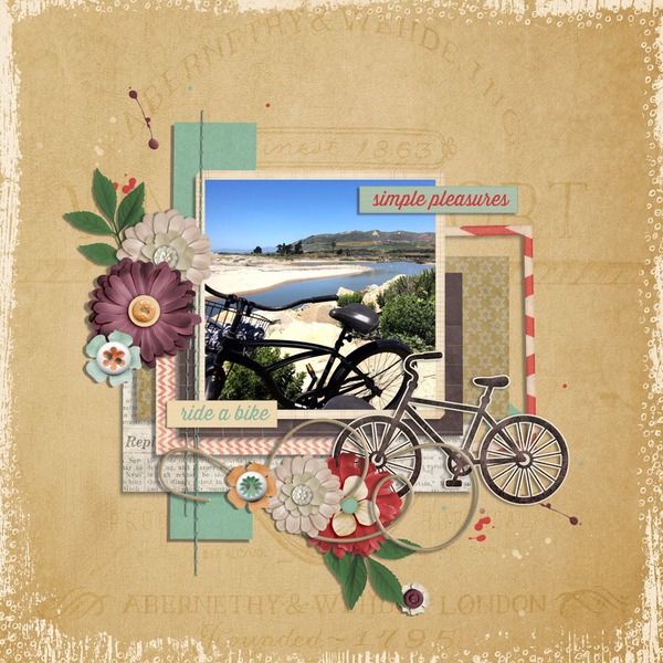 ride a bike