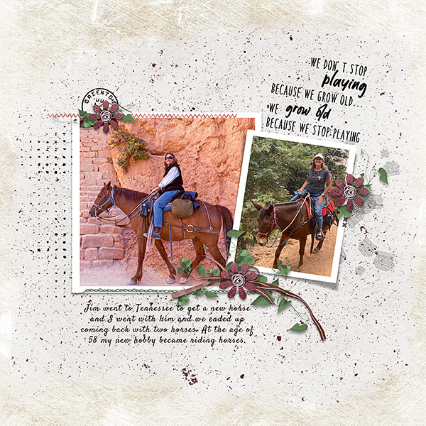 Riding-Horses