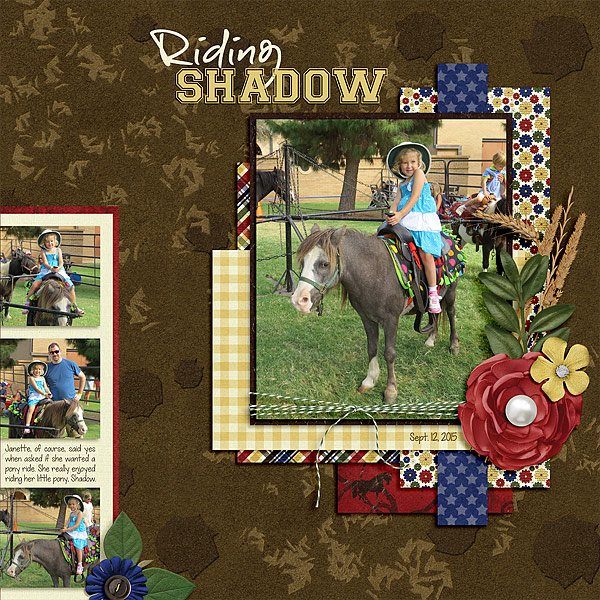 Riding Shadow