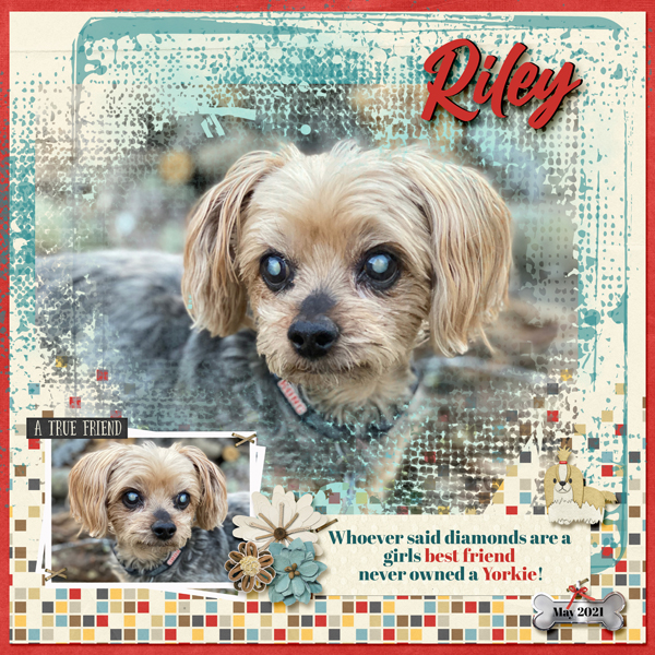 Riley