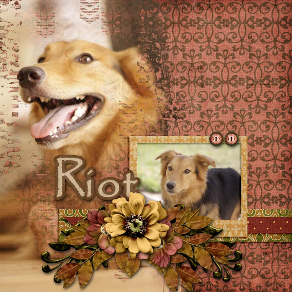 Riot