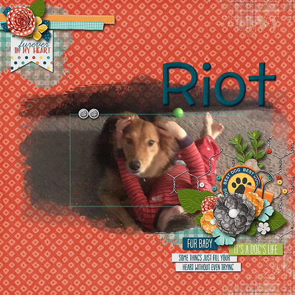 Riot