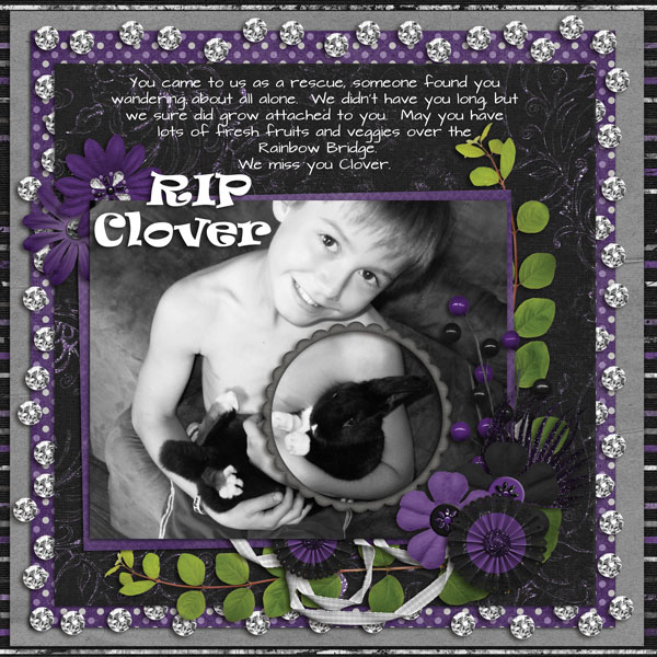 RIP Clover
