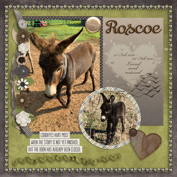 RIP Roscoe :(