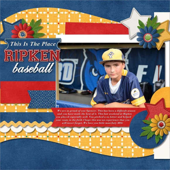 Ripken Baseball