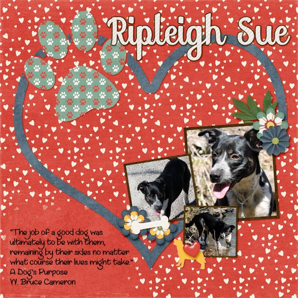 Ripleigh