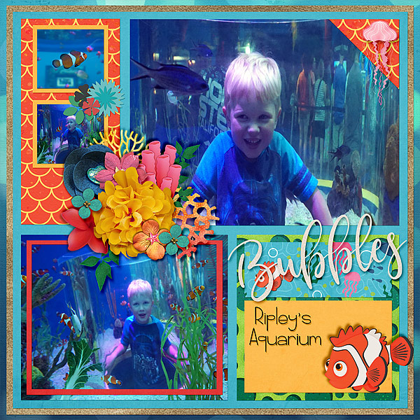 ripleys-aquarium-fish