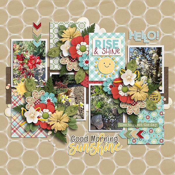Rise and shine