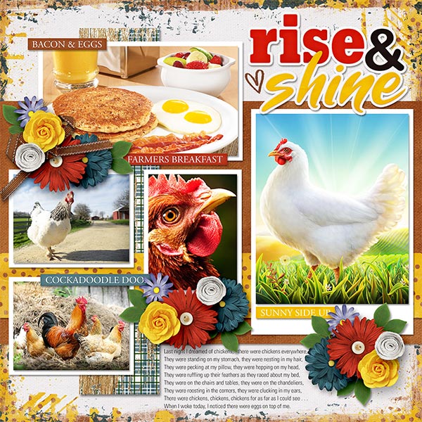 RISE + SHINE