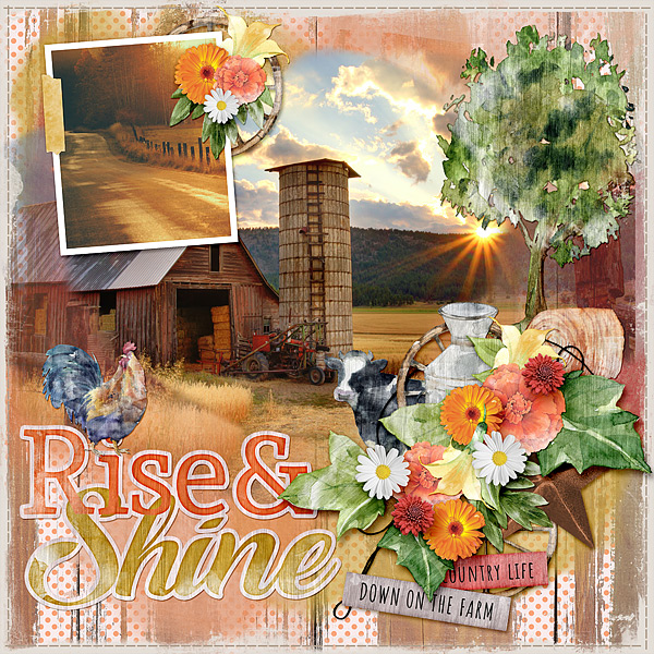 Rise + Shine