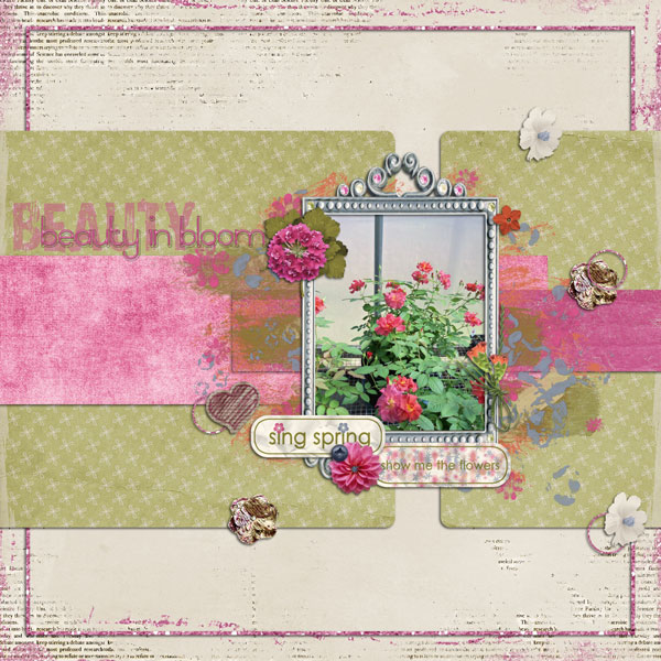 Rita's Roses