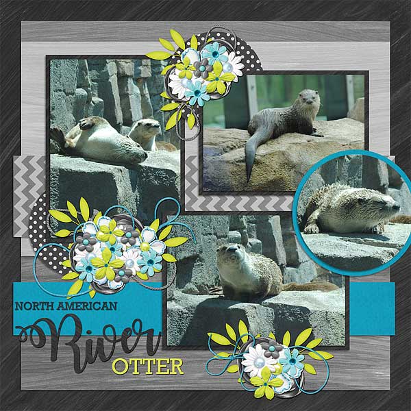 River Otters