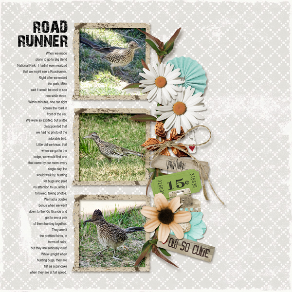 Road Runner