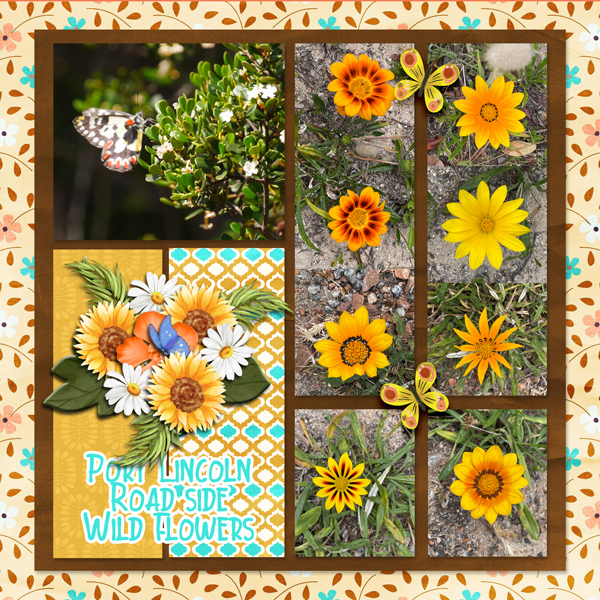 Road Side Wild Flowers