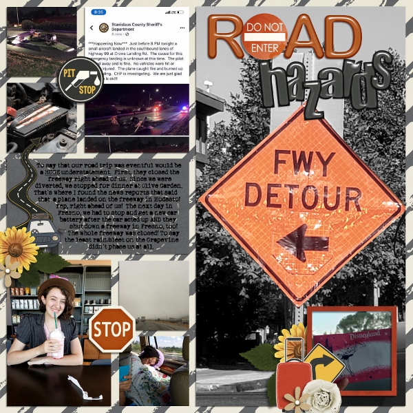 Road Trip Road Hazard