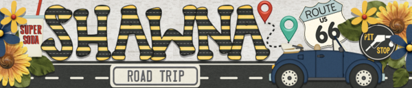Road Trip Siggy