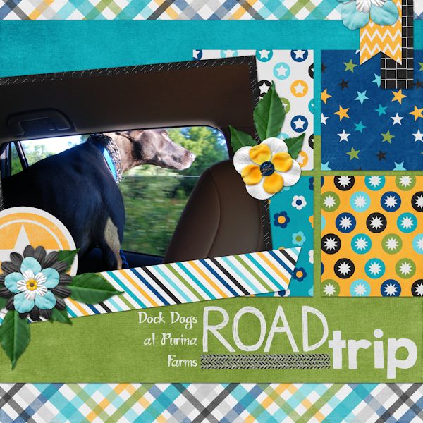 Road Trip