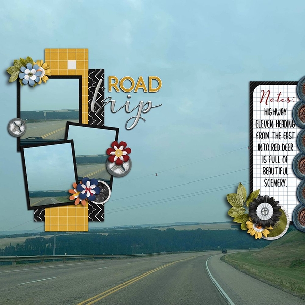 Road Trip