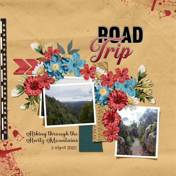 Road Trip