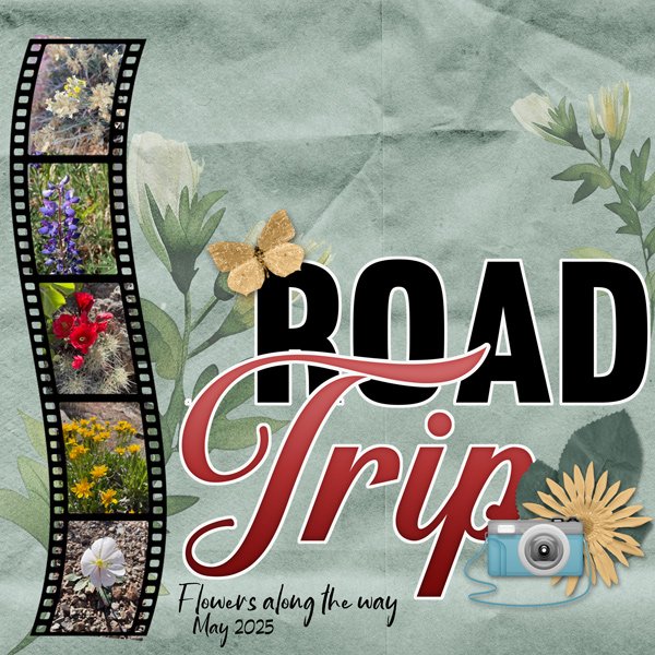 Road Trip